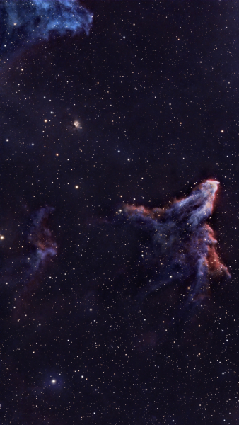 IC63 IC63